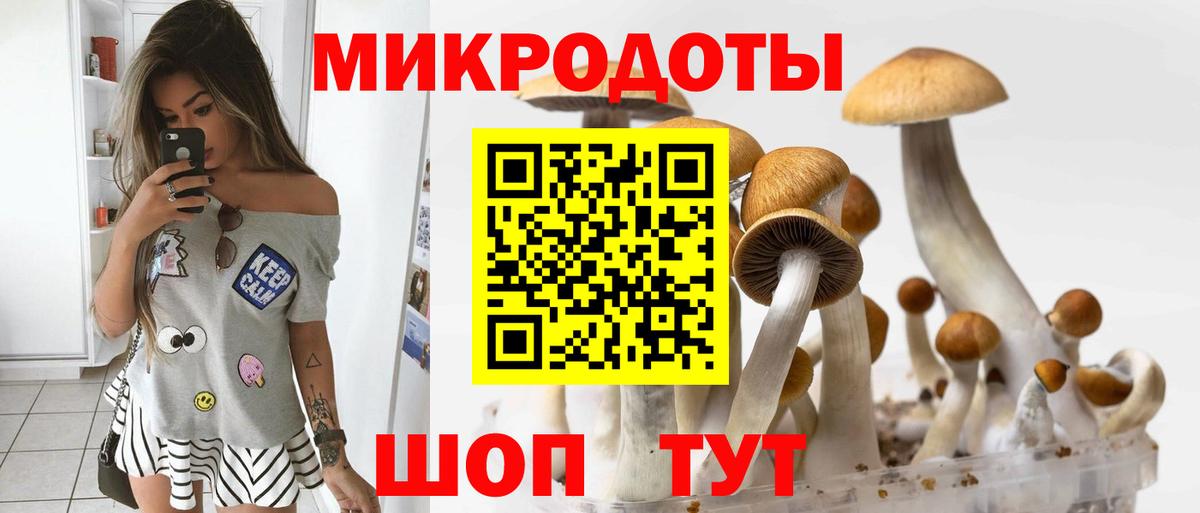 Троицк  Псилоцибиновые грибы ЛСД  Вход с VPN 